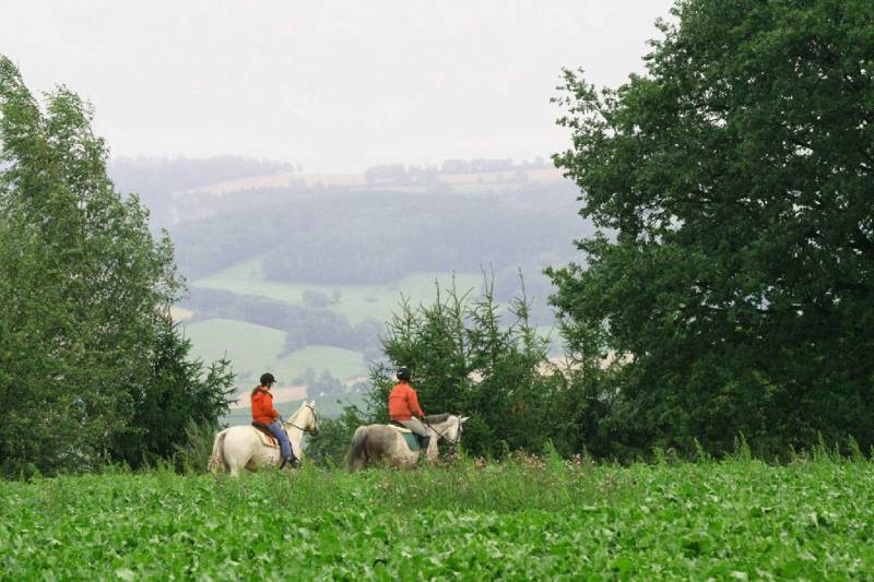 Tolles Ausreitgelände