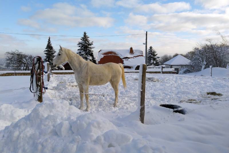 Winterpaddocks mit befestigten Boden in Stallnähe.